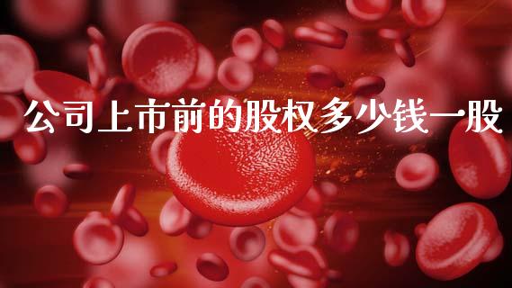 公司上市前的股权多少钱一股_https://m.lcpcjs.com_期货交易_第1张