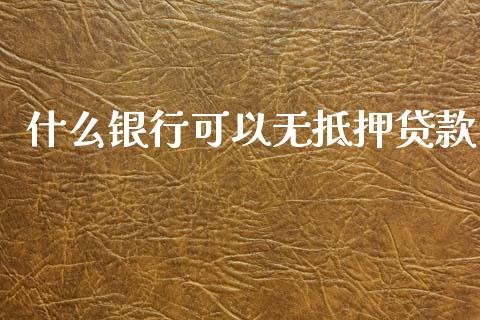 什么银行可以无抵押贷款_https://m.lcpcjs.com_期货交易时间_第1张