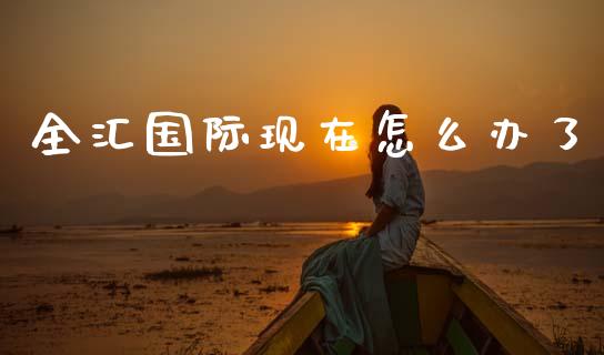 全汇国际现在怎么办了_https://m.lcpcjs.com_白银期货保证金_第1张