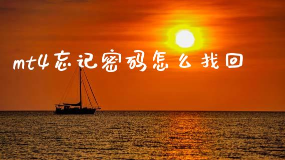 mt4忘记密码怎么找回_https://m.lcpcjs.com_白银期货保证金_第1张