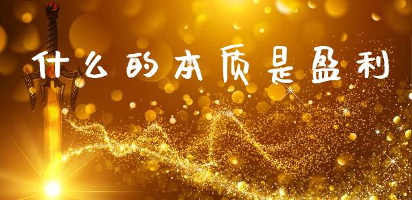 什么的本质是盈利_https://m.lcpcjs.com_白银期货保证金_第1张