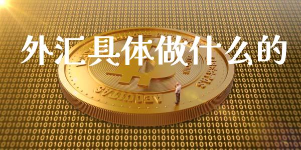 外汇具体做什么的_https://m.lcpcjs.com_恒指期货保证金_第1张