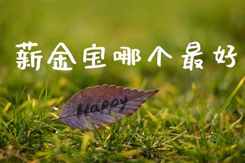 薪金宝哪个最好_https://m.lcpcjs.com_期货交易_第1张