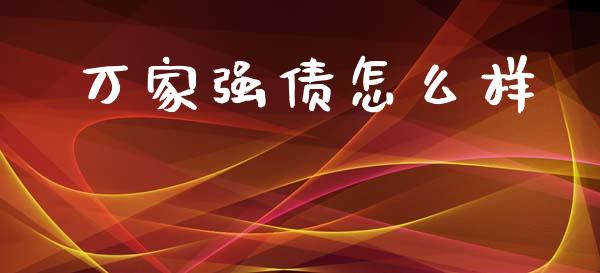 万家强债怎么样_https://m.lcpcjs.com_恒指期货保证金_第1张
