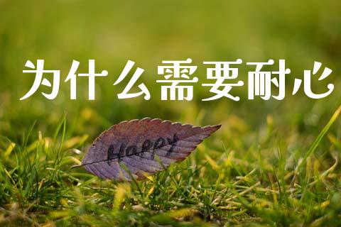 为什么需要耐心_https://m.lcpcjs.com_白银期货保证金_第1张