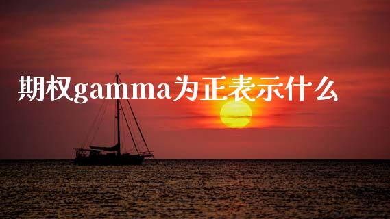 期权gamma为正表示什么_https://m.lcpcjs.com_白银期货保证金_第1张