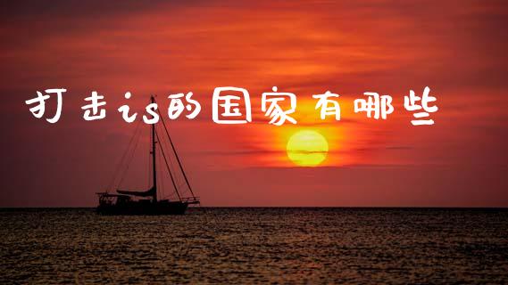 打击is的国家有哪些_https://m.lcpcjs.com_白银期货保证金_第1张