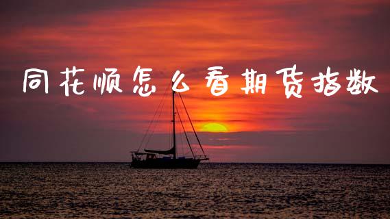 同花顺怎么看期货指数_https://m.lcpcjs.com_白银期货保证金_第1张