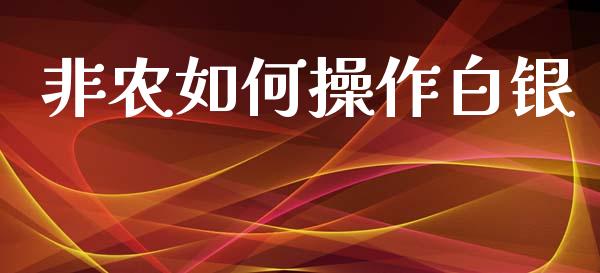 非农如何操作白银_https://m.lcpcjs.com_恒指期货保证金_第1张