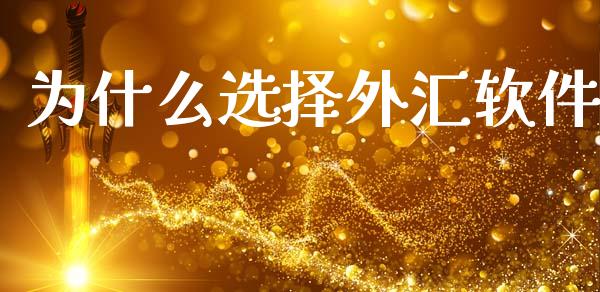 为什么选择外汇软件_https://m.lcpcjs.com_期货交易时间_第1张