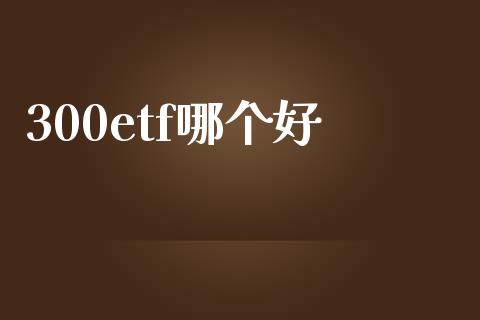 300etf哪个好_https://m.lcpcjs.com_白银期货保证金_第1张