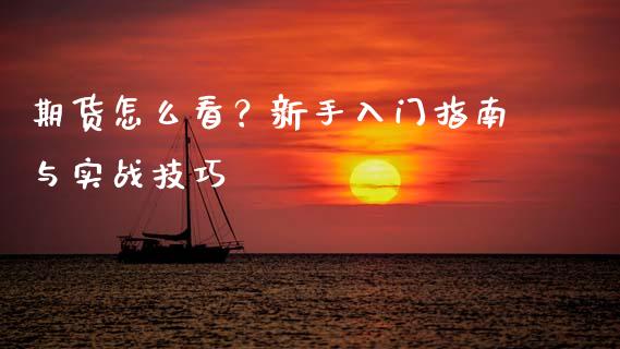 期货怎么看？新手入门指南与实战技巧_https://m.lcpcjs.com_期货交易_第1张