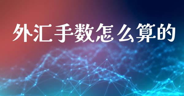 外汇手数怎么算的_https://m.lcpcjs.com_恒指期货保证金_第1张