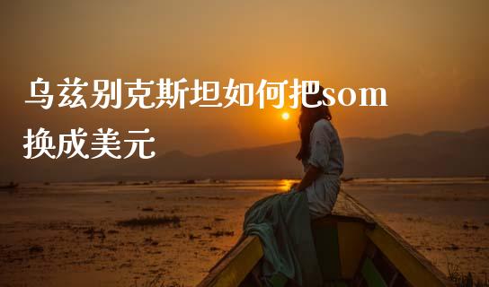 乌兹别克斯坦如何把som换成美元_https://m.lcpcjs.com_白银期货保证金_第1张