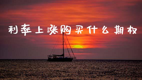 利率上涨购买什么期权_https://m.lcpcjs.com_恒指期货保证金_第1张