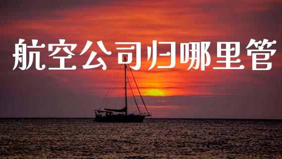 航空公司归哪里管_https://m.lcpcjs.com_期货交易时间_第1张