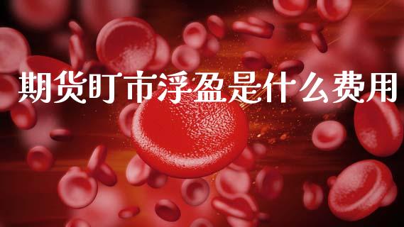 期货盯市浮盈是什么费用_期货交易_第1张_白银期货保证金_期货交易_恒指期货保证金_期货交易时间 期货盯市浮盈是什么费用_https://m.lcpcjs.com_期货交易_第1张