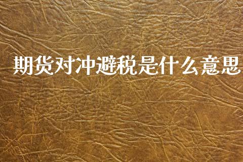 期货对冲避税是什么意思_https://m.lcpcjs.com_恒指期货保证金_第1张