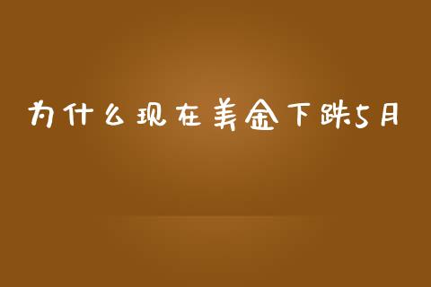 为什么现在美金下跌5月_https://m.lcpcjs.com_恒指期货保证金_第1张