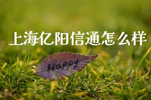 上海亿阳信通怎么样_https://m.lcpcjs.com_期货交易时间_第1张
