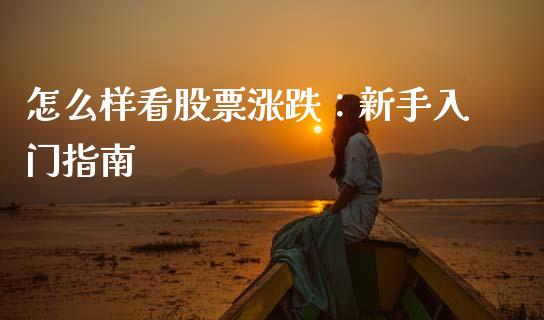 怎么样看股票涨跌：新手入门指南_https://m.lcpcjs.com_恒指期货保证金_第1张