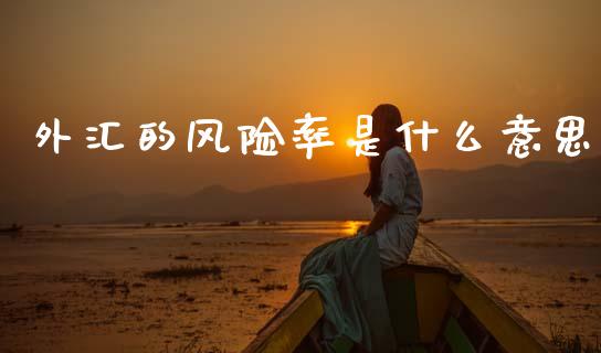 外汇的风险率是什么意思_https://m.lcpcjs.com_期货交易_第1张