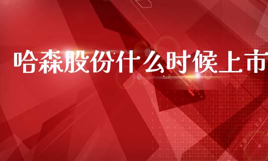哈森股份什么时候上市_https://m.lcpcjs.com_期货交易_第1张