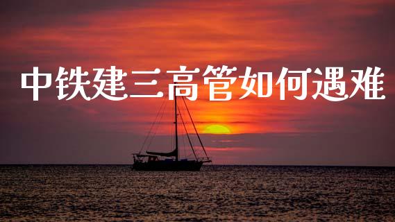 中铁建三高管如何遇难_https://m.lcpcjs.com_白银期货保证金_第1张