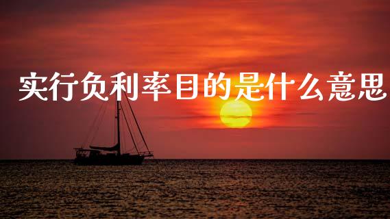 实行负利率目的是什么意思_https://m.lcpcjs.com_恒指期货保证金_第1张