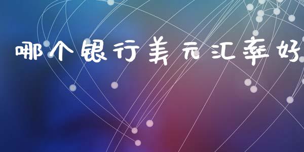 哪个银行美元汇率好_https://m.lcpcjs.com_白银期货保证金_第1张