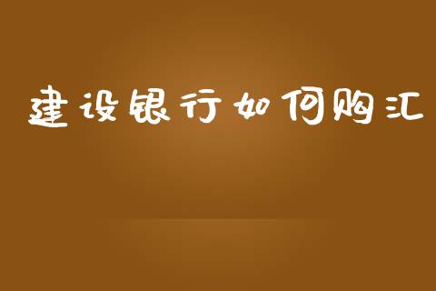 建设银行如何购汇_https://m.lcpcjs.com_恒指期货保证金_第1张