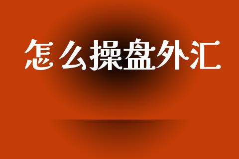 怎么操盘外汇_https://m.lcpcjs.com_恒指期货保证金_第1张
