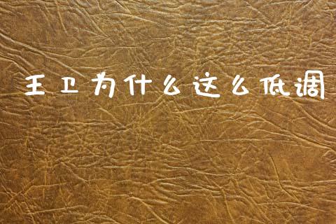 王卫为什么这么低调_https://m.lcpcjs.com_恒指期货保证金_第1张