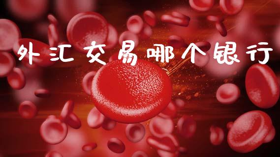 外汇交易哪个银行_https://m.lcpcjs.com_期货交易_第1张