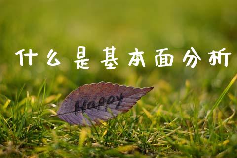 什么是基本面分析_https://m.lcpcjs.com_白银期货保证金_第1张