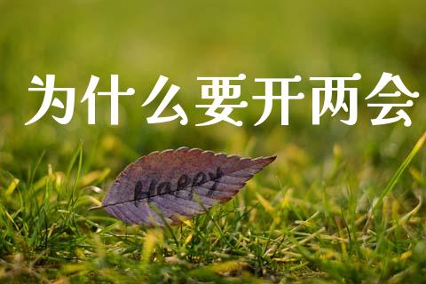 为什么要开两会_https://m.lcpcjs.com_白银期货保证金_第1张