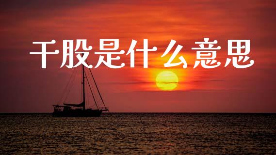 干股是什么意思_https://m.lcpcjs.com_期货交易_第1张