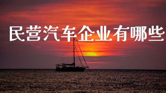民营汽车企业有哪些_https://m.lcpcjs.com_白银期货保证金_第1张