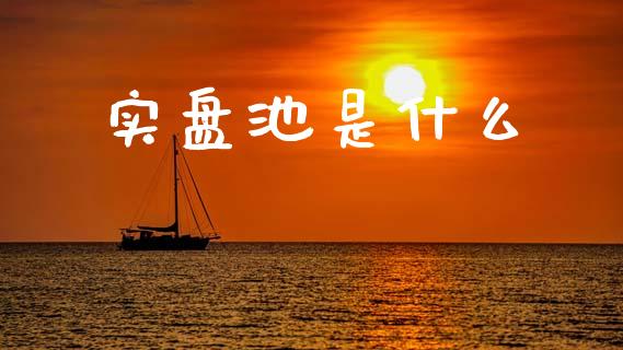 实盘池是什么_https://m.lcpcjs.com_期货交易时间_第1张