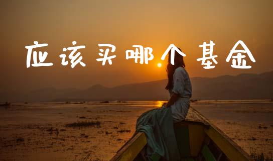 应该买哪个基金_https://m.lcpcjs.com_恒指期货保证金_第1张