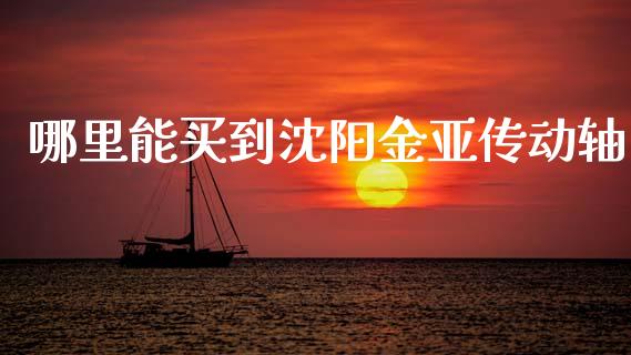 哪里能买到沈阳金亚传动轴_https://m.lcpcjs.com_期货交易_第1张