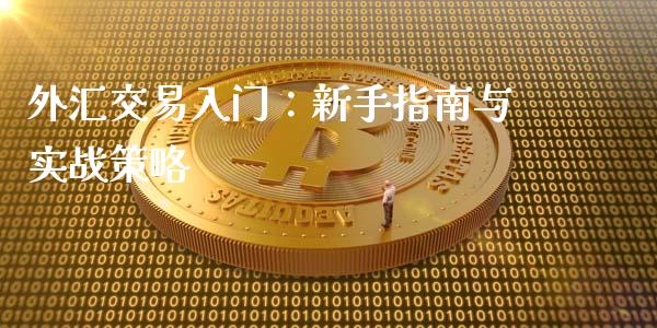 外汇交易入门：新手指南与实战策略_https://m.lcpcjs.com_白银期货保证金_第1张