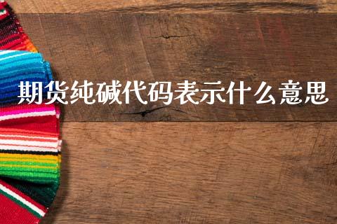 期货纯碱代码表示什么意思_https://m.lcpcjs.com_期货交易时间_第1张