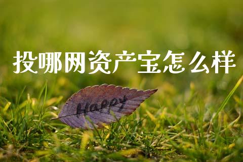 投哪网资产宝怎么样_https://m.lcpcjs.com_期货交易_第1张