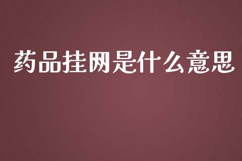 药品挂网是什么意思_https://m.lcpcjs.com_白银期货保证金_第1张