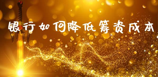 银行如何降低筹资成本_https://m.lcpcjs.com_恒指期货保证金_第1张