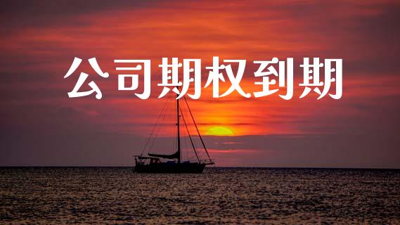 公司期权到期_https://m.lcpcjs.com_期货交易时间_第1张
