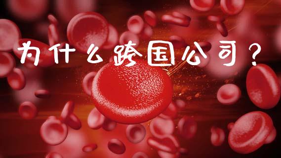 为什么跨国公司？_https://m.lcpcjs.com_期货交易_第1张