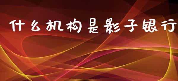 什么机构是影子银行_https://m.lcpcjs.com_期货交易_第1张