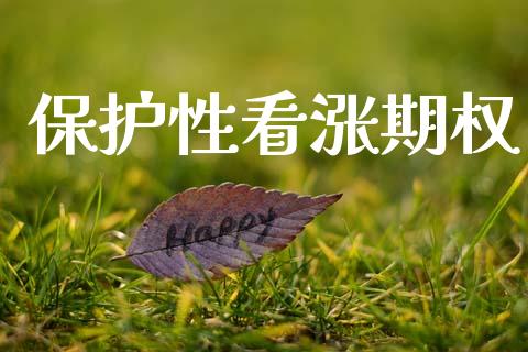 保护性看涨期权_https://m.lcpcjs.com_期货交易时间_第1张